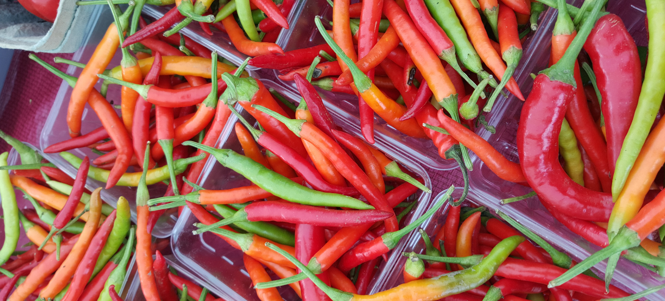 Header Image - Northside Farmers' Market - Madison, WI